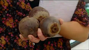 Beetroot - My Kitchen Rules 2012