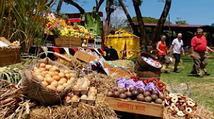 The temporary storeroom - My Kitchen Rules 2012